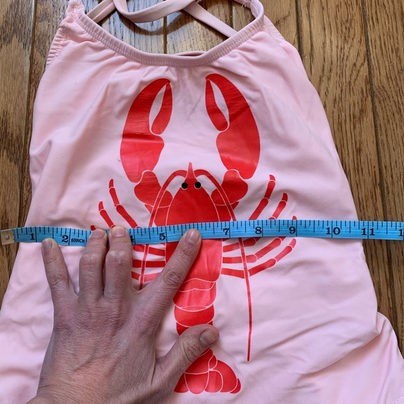 Wildfox Swimsuit - Picture 3 of 7